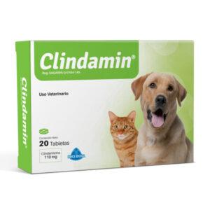 CLINDAMIN